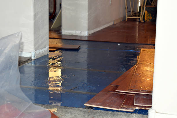 Professional Basement Flood Cleanup technician working in Tarrytown, NY